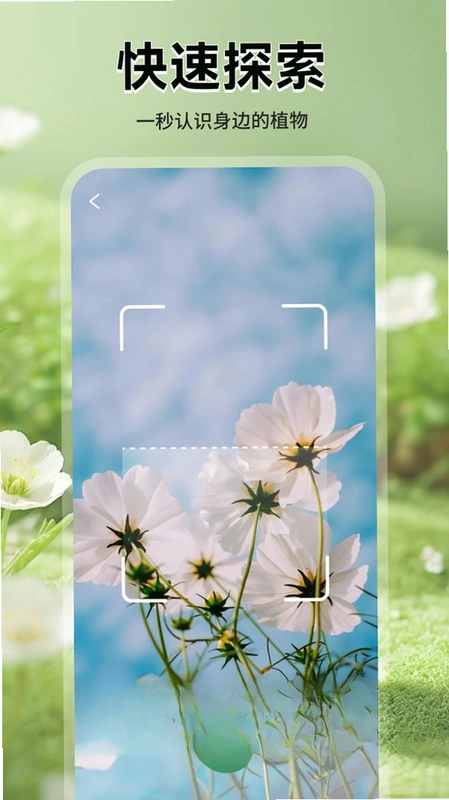 花花乐园预览图