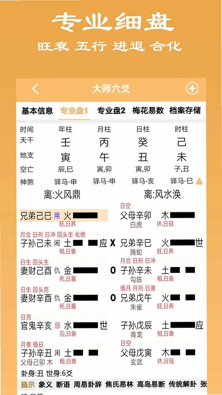 大师六爻预览图