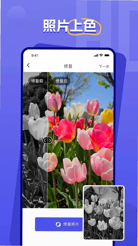 Devils camera AR软件预览图