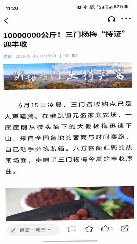 掌上三门预览图