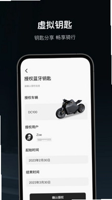Davinci 控车预览图