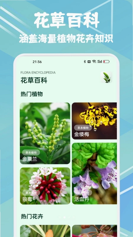 金花时光预览图