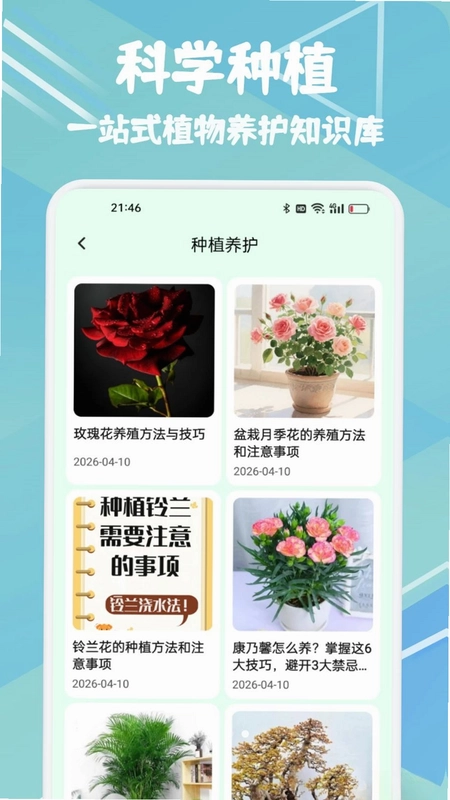 金花时光预览图