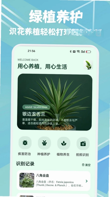 金花时光预览图