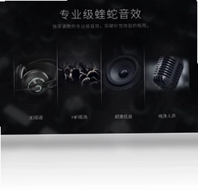 VIPER HiFi预览图