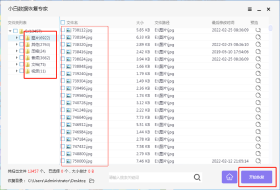 小白数据恢复专家电脑版界面