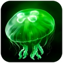 eggjelly�ٷ���׿��(��ˮĸ)2.5�ֻ���