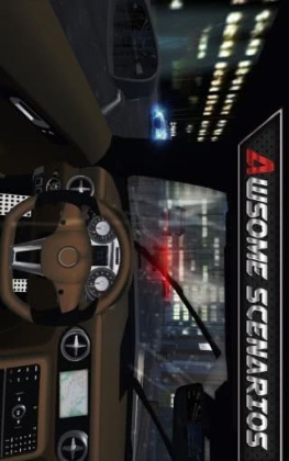 Real Driving 3D(ʵʻ3D)ͼ0