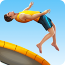 Flip Master(��ת��ʦ)3.8.00�ٷ���