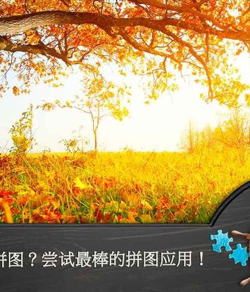 魔法拼图截图3