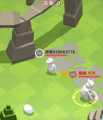 ���ࣺһ��Ϳ�ش��Ҷ���ͼ2