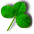 Clover Meister(Ҷ)