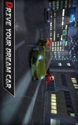 Real Driving 3D(ʵʻ3D)ͼ2