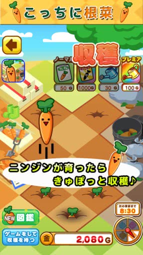 Ǹˣܲƪ1.0.0׿ͼ2